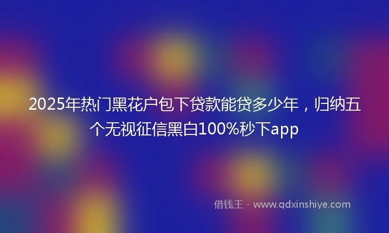 2025年热门黑花户包下贷款能贷多少年，归纳五个无视征信黑白100%秒下app