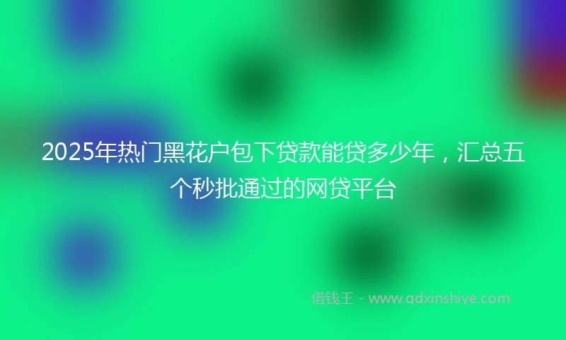 2025年热门黑花户包下贷款能贷多少年，汇总五个秒批通过的网贷平台