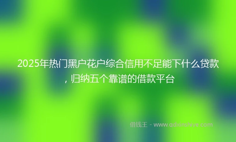 2025年热门黑户花户综合信用不足能下什么贷款，归纳五个靠谱的借款平台