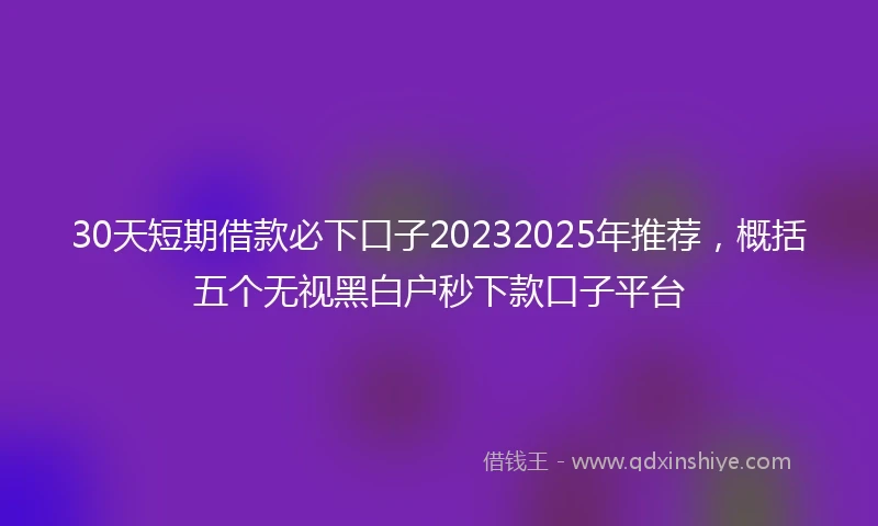 30天短期借款必下口子20232025年推荐,概括五个无视黑白户秒下款口子平台