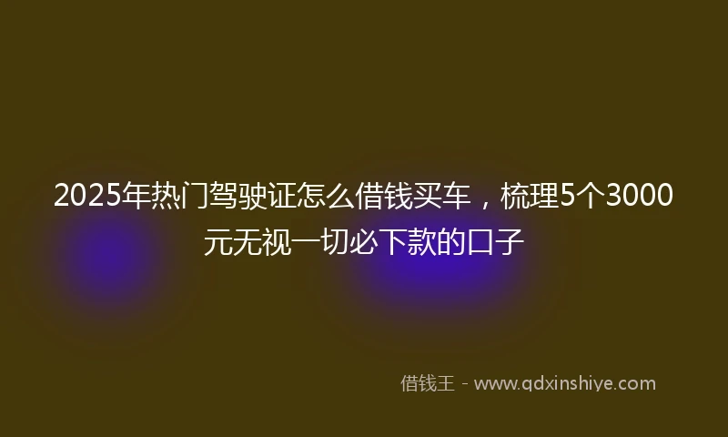 2025年热门驾驶证怎么借钱买车，梳理5个3000元无视一切必下款的口子