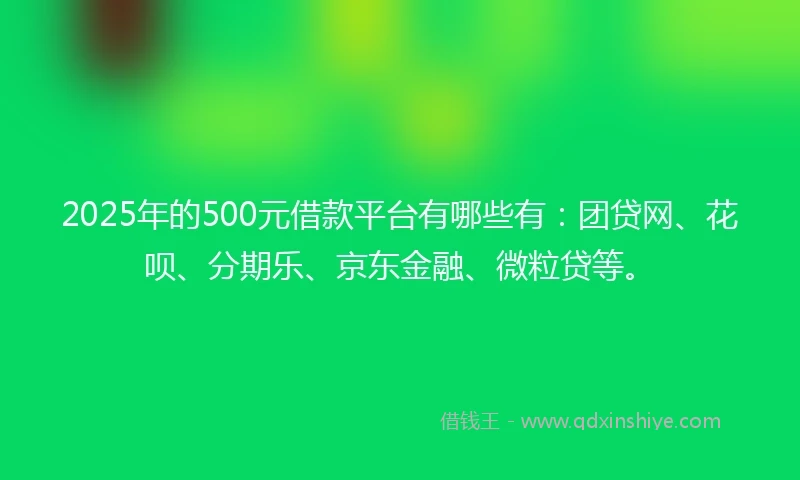 2025年的500元借款平台有哪些有：团贷网、花呗、分期乐、京东金融、微粒贷等。
