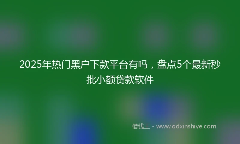 2025年热门黑户下款平台有吗，盘点5个最新秒批小额贷款软件
