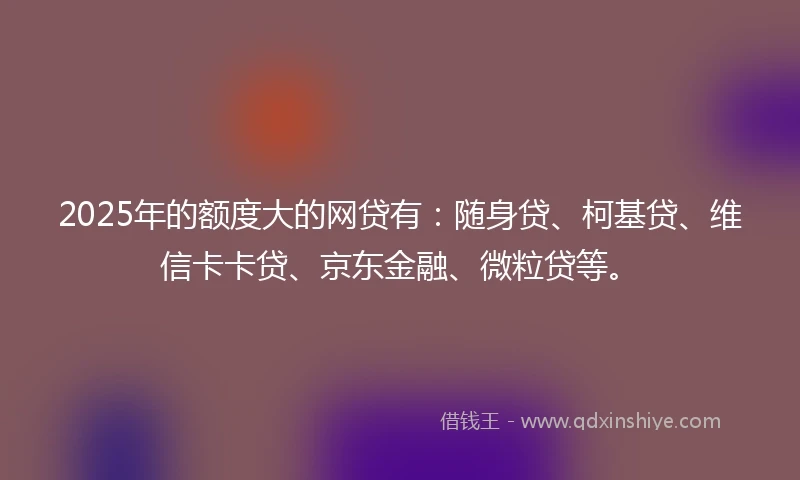 2025年的额度大的网贷有：随身贷、柯基贷、维信卡卡贷、京东金融、微粒贷等。