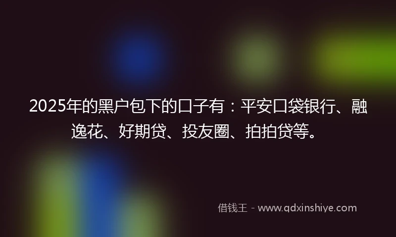 2025年的黑户包下的口子有：平安口袋银行、融逸花、好期贷、投友圈、拍拍贷等。