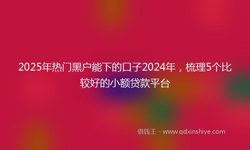 2025年热门黑户能下的口子2024年，梳理5个比较好的小额贷款平台