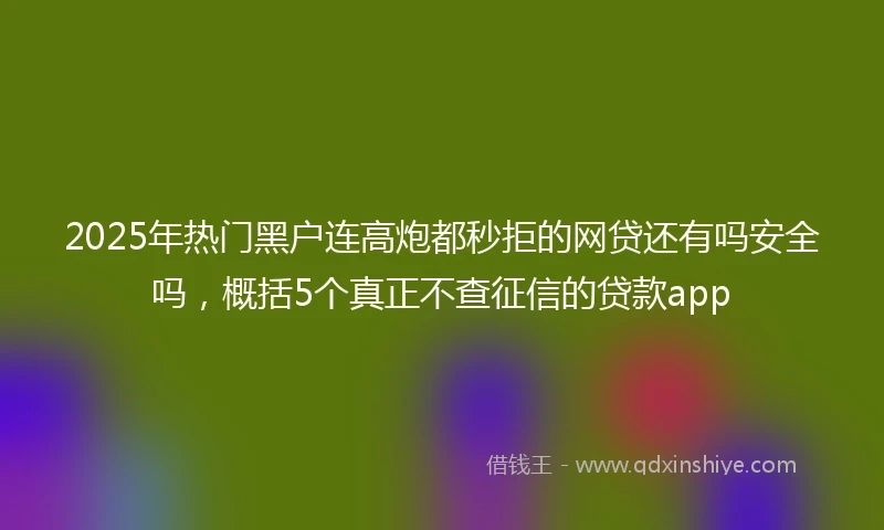 2025年热门黑户连高炮都秒拒的网贷还有吗安全吗，概括5个真正不查征信的贷款app