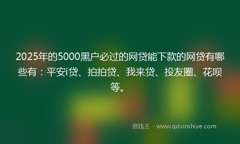 2025年的5000黑户必过的网贷能下款的网贷有哪些有：平安i贷、拍拍贷、我来贷、投友圈、花呗等。