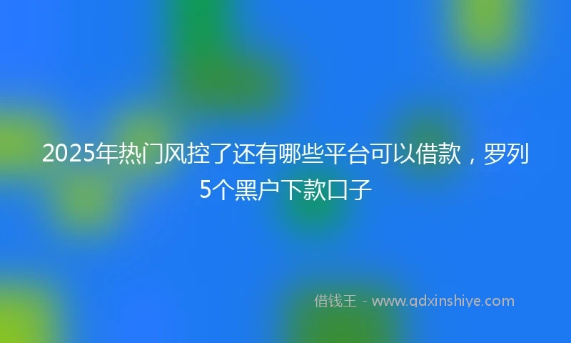 2025年热门风控了还有哪些平台可以借款，罗列5个黑户下款口子
