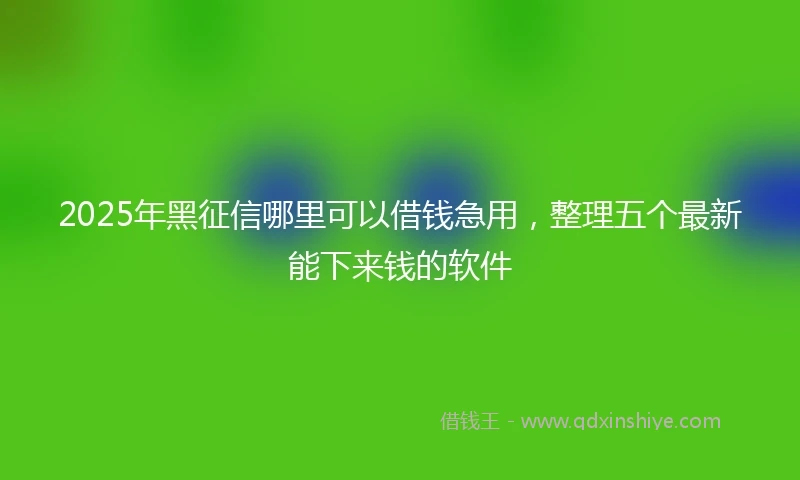 2025年黑征信哪里可以借钱急用，整理五个最新能下来钱的软件