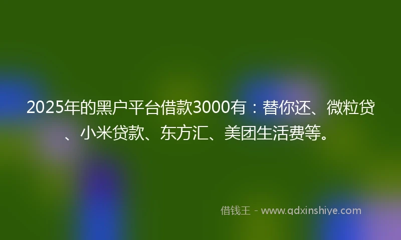 2025年的黑户平台借款3000有：替你还、微粒贷、小米贷款、东方汇、美团生活费等。