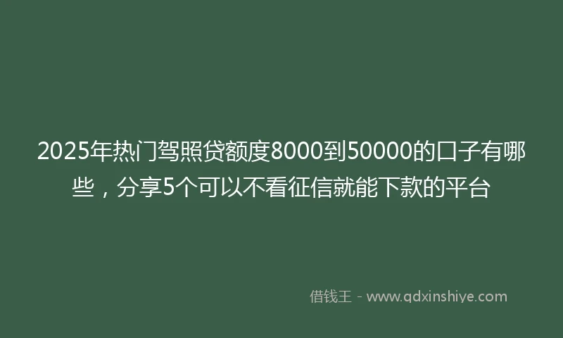 2025年热门驾照贷额度8000到50000的口子有哪些,分享5个可以不看征信就能下款的平台
