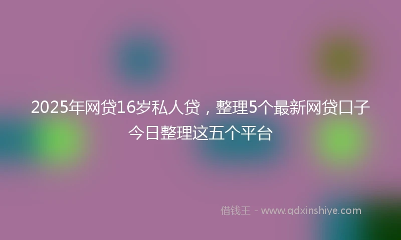 2025年网贷16岁私人贷，整理5个最新网贷口子今日整理这五个平台