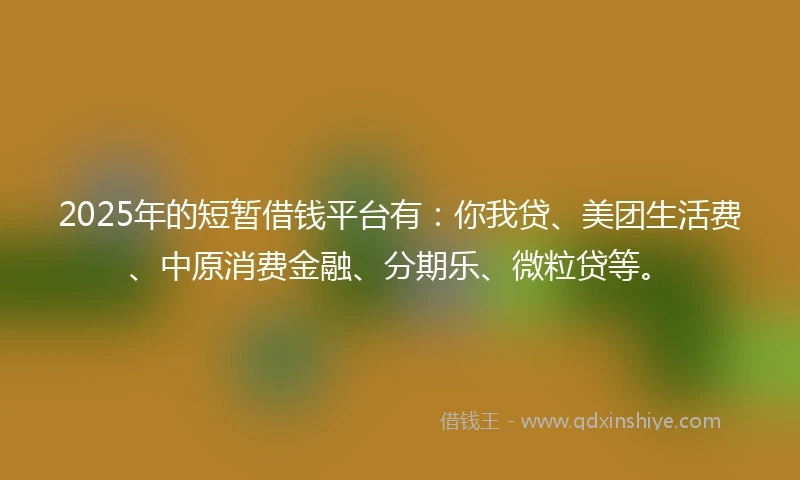 2025年的短暂借钱平台有：你我贷、美团生活费、中原消费金融、分期乐、微粒贷等。