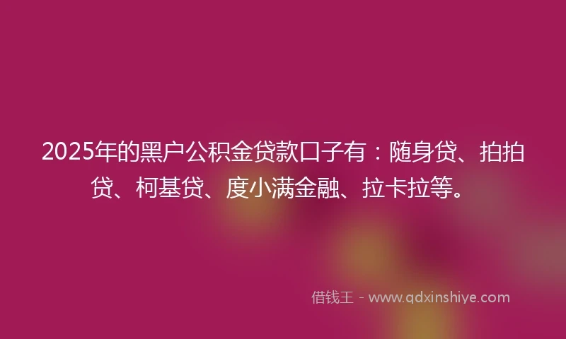 2025年的黑户公积金贷款口子有：随身贷、拍拍贷、柯基贷、度小满金融、拉卡拉等。