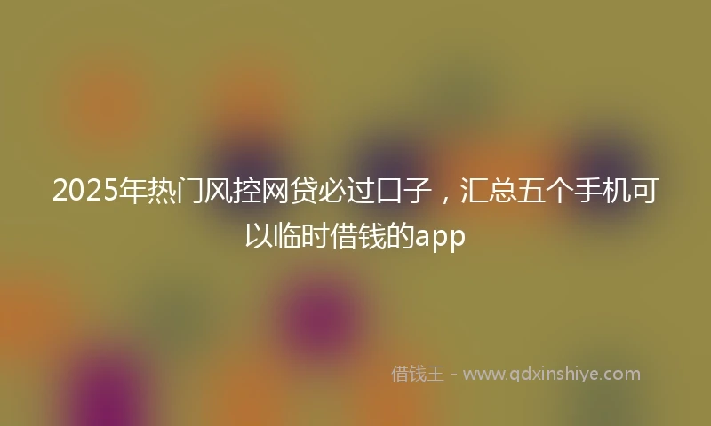 2025年热门风控网贷必过口子,汇总五个手机可以临时借钱的app