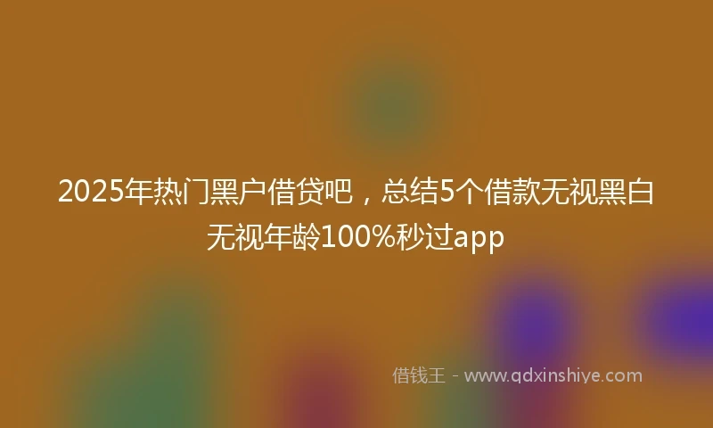 2025年热门黑户借贷吧，总结5个借款无视黑白无视年龄100%秒过app
