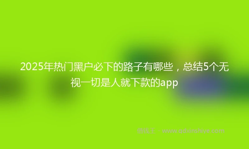 2025年热门黑户必下的路子有哪些，总结5个无视一切是人就下款的app