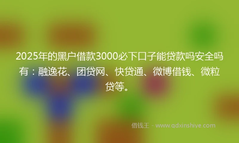 2025年的黑户借款3000必下口子能贷款吗安全吗有：融逸花、团贷网、快贷通、微博借钱、微粒贷等。