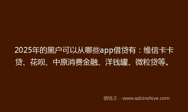 2025年的黑户可以从哪些app借贷有：维信卡卡贷、花呗、中原消费金融、洋钱罐、微粒贷等。