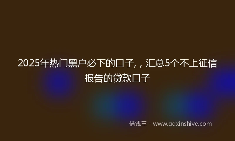 2025年热门黑户必下的口子,，汇总5个不上征信报告的贷款口子