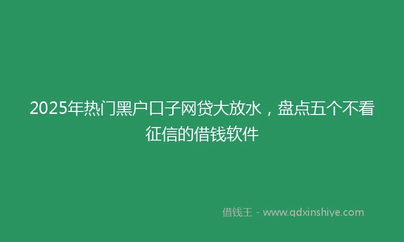2025年热门黑户口子网贷大放水，盘点五个不看征信的借钱软件