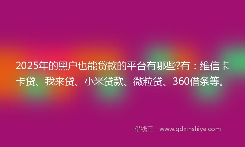 2025年的黑户也能贷款的平台有哪些?有：维信卡卡贷、我来贷、小米贷款、微粒贷、360借条等。