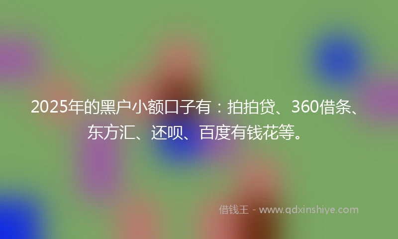 2025年的黑户小额口子有：拍拍贷、360借条、东方汇、还呗、百度有钱花等。