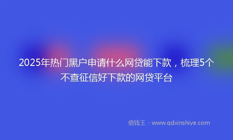 2025年热门黑户申请什么网贷能下款，梳理5个不查征信好下款的网贷平台