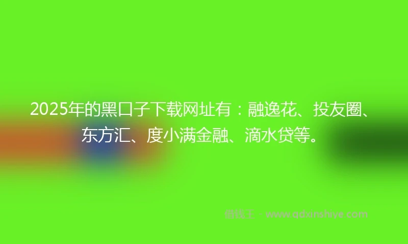 2025年的黑口子下载网址有：融逸花、投友圈、东方汇、度小满金融、滴水贷等。