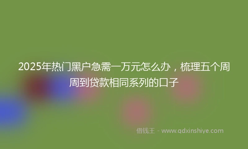 2025年热门黑户急需一万元怎么办，梳理五个周周到贷款相同系列的口子