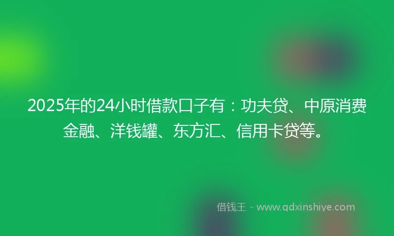 2025年的24小时借款口子有：功夫贷、中原消费金融、洋钱罐、东方汇、信用卡贷等。