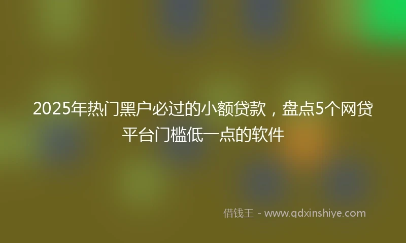 2025年热门黑户必过的小额贷款，盘点5个网贷平台门槛低一点的软件
