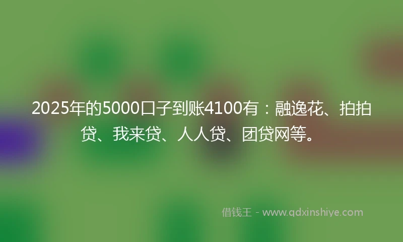 2025年的5000口子到账4100有：融逸花、拍拍贷、我来贷、人人贷、团贷网等。