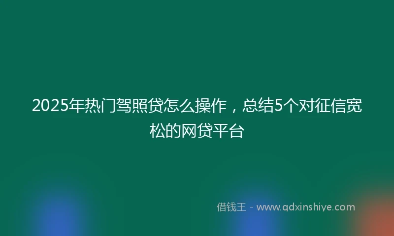 2025年热门驾照贷怎么操作，总结5个对征信宽松的网贷平台