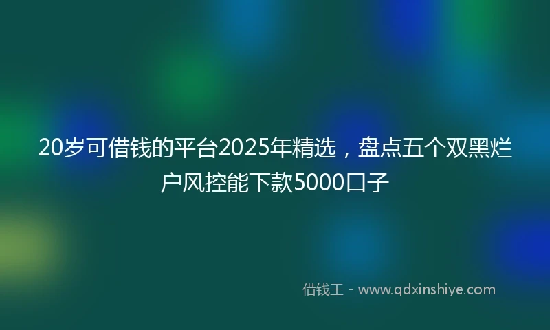 20岁可借钱的平台2025年精选，盘点五个双黑烂户风控能下款5000口子