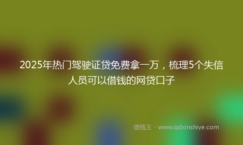 2025年热门驾驶证贷免费拿一万，梳理5个失信人员可以借钱的网贷口子