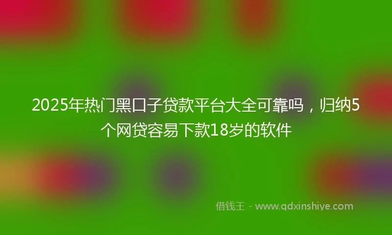 2025年热门黑口子贷款平台大全可靠吗，归纳5个网贷容易下款18岁的软件