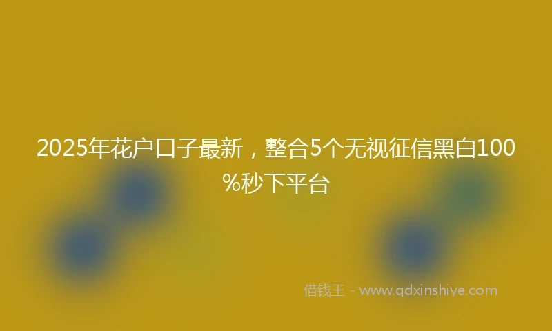 2025年花户口子最新，整合5个无视征信黑白100%秒下平台