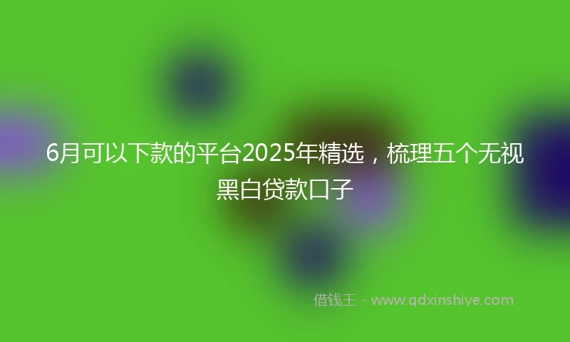 6月可以下款的平台2025年精选，梳理五个无视黑白贷款口子