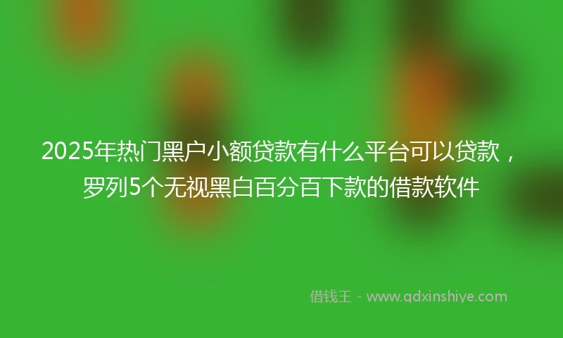 2025年热门黑户小额贷款有什么平台可以贷款，罗列5个无视黑白百分百下款的借款软件
