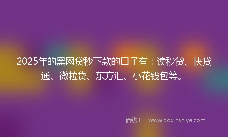 2025年的黑网贷秒下款的口子有：读秒贷、快贷通、微粒贷、东方汇、小花钱包等。