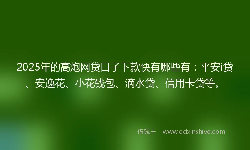 2025年的高炮网贷口子下款快有哪些有：平安i贷、安逸花、小花钱包、滴水贷、信用卡贷等。