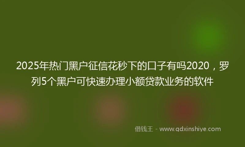 2025年热门黑户征信花秒下的口子有吗2020，罗列5个黑户可快速办理小额贷款业务的软件