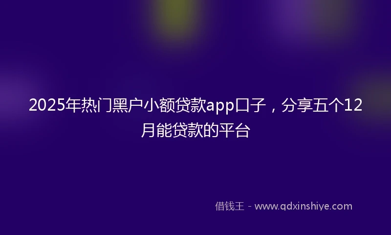 2025年热门黑户小额贷款app口子，分享五个12月能贷款的平台