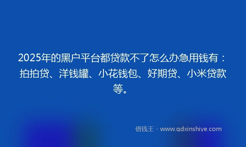 2025年的黑户平台都贷款不了怎么办急用钱有：拍拍贷、洋钱罐、小花钱包、好期贷、小米贷款等。