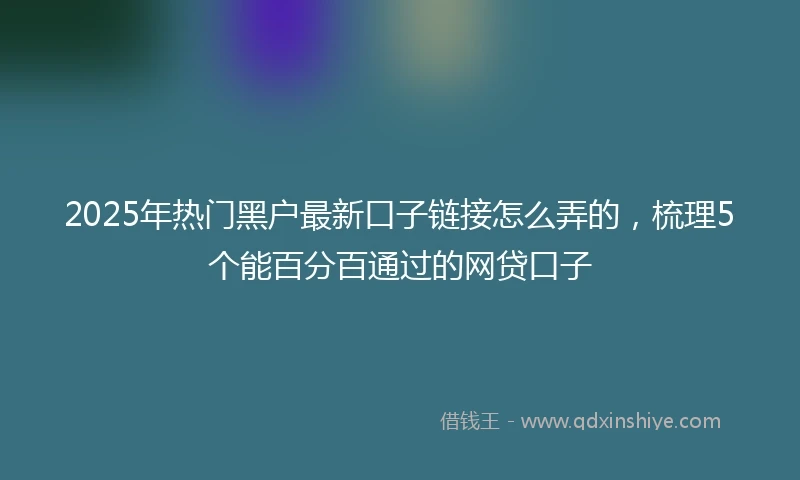 2025年热门黑户最新口子链接怎么弄的，梳理5个能百分百通过的网贷口子