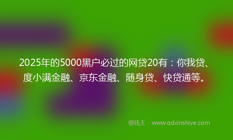 2025年的5000黑户必过的网贷20有：你我贷、度小满金融、京东金融、随身贷、快贷通等。