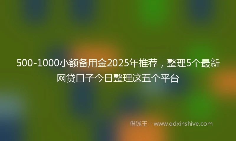 500-1000小额备用金2025年推荐，整理5个最新网贷口子今日整理这五个平台