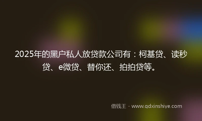 2025年的黑户私人放贷款公司有：柯基贷、读秒贷、e微贷、替你还、拍拍贷等。